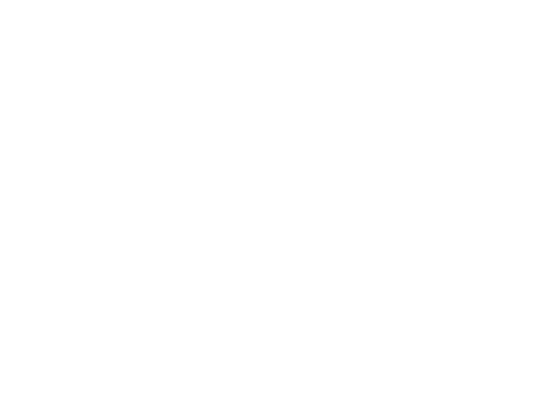 SOLO Boutique
