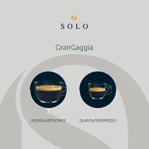 ყავის აპარატი GAGGIA Gran Gaggia Delux