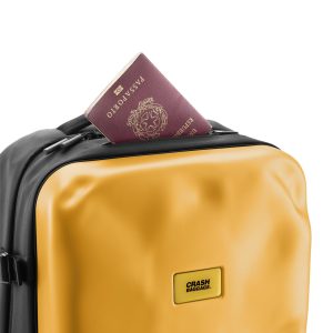 ზურგჩანთა CRASH BAGGAGE Icon Backpack