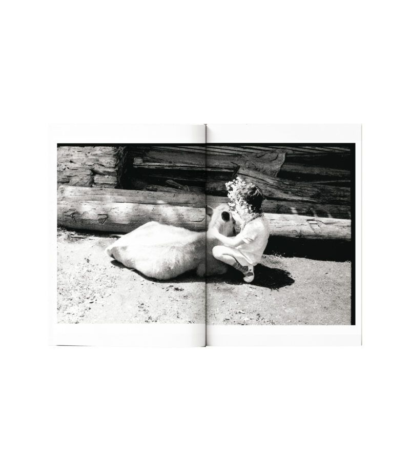 დედა მამა ფედ-4 და მე